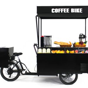 Display Ebike with Cart